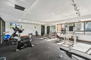 Exercise room featuring a textured ceiling, carpet floors, and track lighting