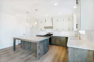 Kitchen featuring pendant lighting, white cabinetry, a center island, custom range hood, and gas range