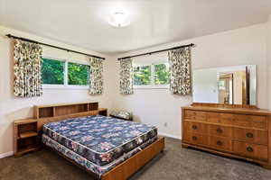 Bedroom with dark carpet