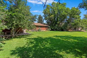 View of yard featuring a patio