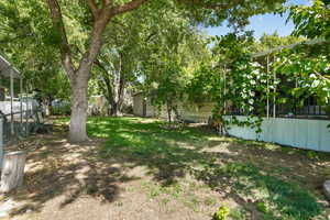 View of yard mature trees