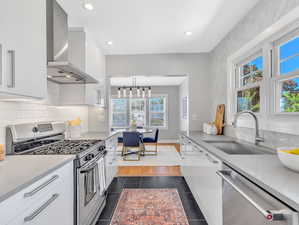 Kitchen with ventilation hood, stove, plenty of natural light, and dishwasher