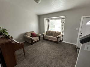 Living room with a textured ceiling and dark colored carpet