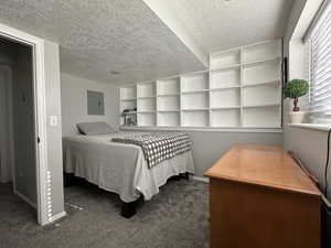 Carpeted bedroom with a textured ceiling and electric panel