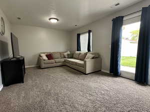 Carpeted living room featuring plenty of natural light