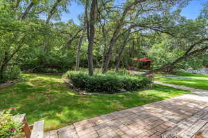 View of yard featuring a patio area