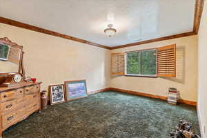 Unfurnished room with carpet floors, ornamental molding, and a textured ceiling