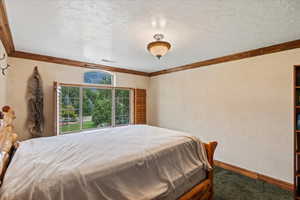 Bedroom featuring carpet floors, ornamental molding, and a textured ceiling