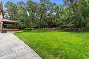 View of yard with a patio