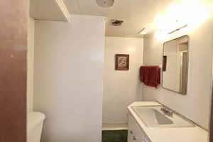 Bathroom #2 With Shower On Lower Level