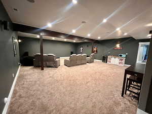 Cinema room featuring light carpet