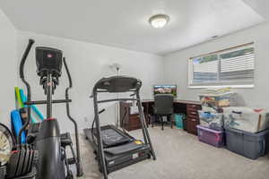 Workout area featuring light colored carpet