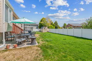 View of yard with a patio and a shed