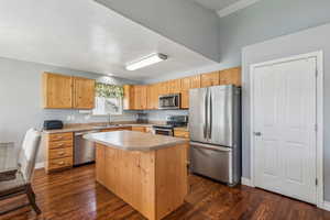 Kitchen featuring a center island, sink, appliances with stainless steel finishes, and dark hardwood / wood-style floors