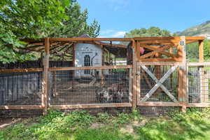 Chicken run and Aviary