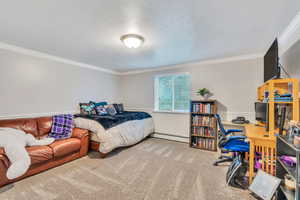 Oversized bedroom in basement