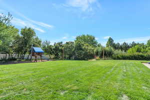 Awesome backyard