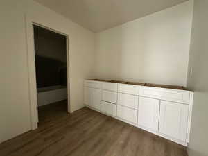 Bathroom with hardwood / wood-style floors