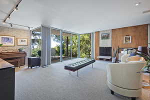 Carpeted living room featuring wood walls, floor to ceiling windows, and rail lighting