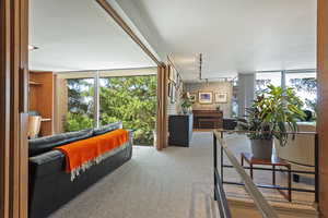 Carpeted living room with rail lighting and expansive windows