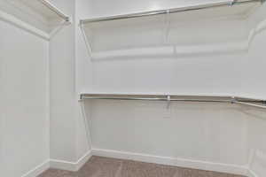 Spacious closet featuring light carpet