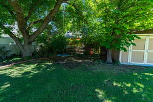 View of yard with a storage unit