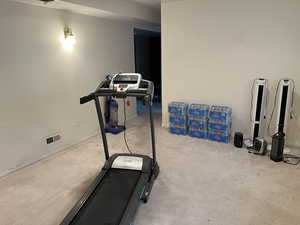 Basement living room featuring light carpet