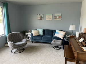 Living room featuring carpet