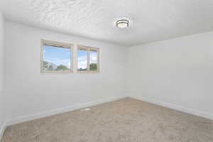 Unfurnished room featuring carpet and a textured ceiling