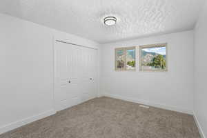 Unfurnished bedroom featuring a textured ceiling, a closet, and carpet