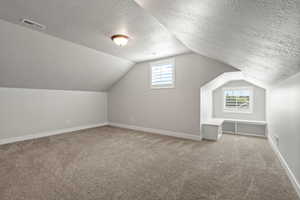 Loft - Additional living space with light carpet, vaulted ceiling, and a healthy amount of sunlight