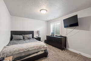 Bedroom with a textured ceiling and light carpet