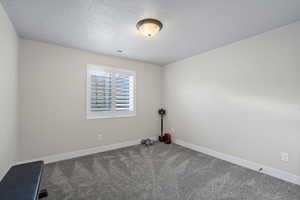 Empty room featuring a textured ceiling and carpet floors