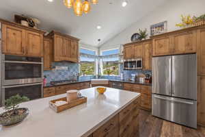 Kitchen featuring sink, dark wood-type flooring, decorative backsplash, stainless steel appliances, and lofted ceiling