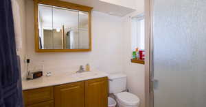 Primary bedroom on suite bathroom featuring a shower with door, vanity, and toilet