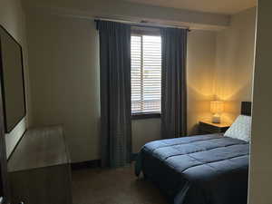 Bedroom featuring visible vents, carpet, and multiple windows