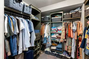 Walk in closet with carpet floors