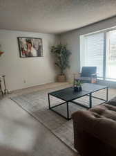 Living room with a textured ceiling