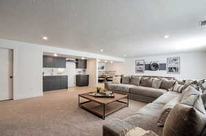 Carpeted living room with a textured ceiling and sink