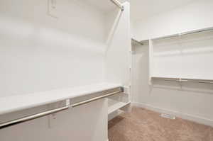 Spacious closet featuring light colored carpet