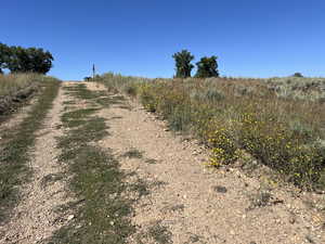 Pole Line Road view approaching property summit on right