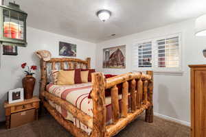 Bedroom with carpet flooring