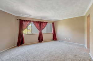 Carpeted empty room featuring crown molding