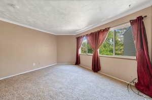 Carpeted empty room featuring ornamental molding