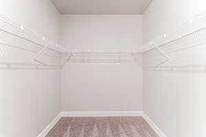 Walk in closet with carpet floors