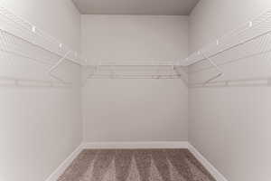 Spacious closet featuring carpet flooring