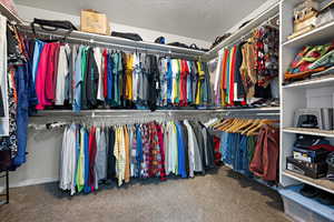 Spacious closet featuring carpet floors