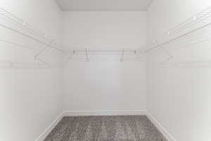 Spacious closet featuring carpet