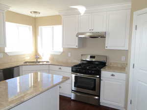 Kitchen featuring sink, appliances with stainless steel finishes, white cabinetry, light stone countertops, and dark hardwood / wood-style flooring