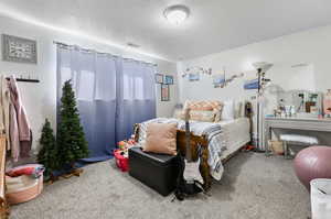 Carpeted bedroom featuring a textured ceiling